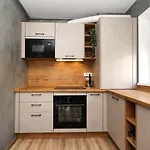 Alina's Apartment Brasov