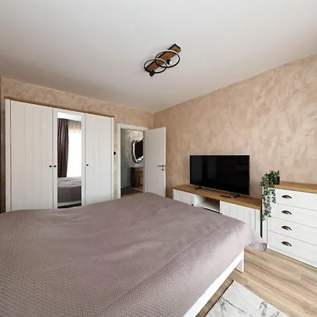 Апартаменты Alina's Брашов