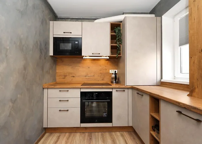 Alina's Apartment Brasov