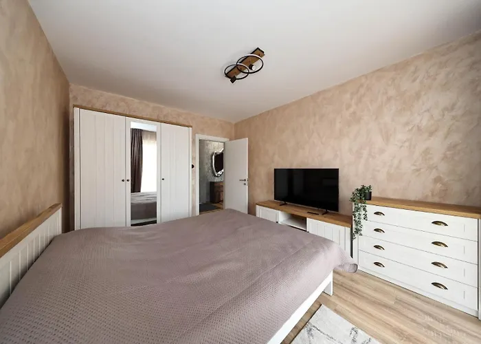 Apartment Alina's Brasov